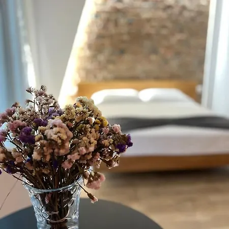 Koni's Διαμέρισμα *