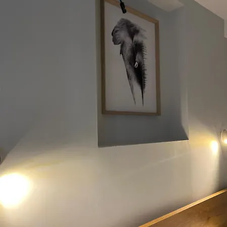 Koni's Apartment